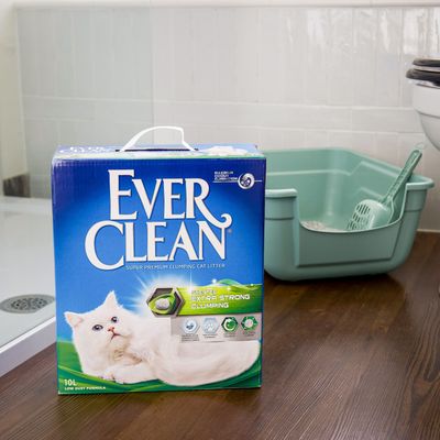 Litière pour chat Ever Clean, boîte de 10 L. Texte visible : Scented Extra Strong Clumping, Low Dust Formula, Super Premium Clumping Cat Litter. Bac à litière et pelle en plastique vertes à l’arrière-plan.