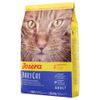 Josera DailyCat sin cereales pienso para gatos 2 kg