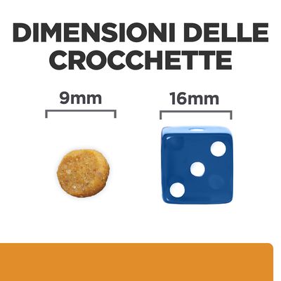Dimensioni delle crocchette: diametro 9 mm, confronto con dado blu da 16 mm. Testo visibile: 'DIMENSIONI DELLE CROCCHETTE', '9 mm', '16 mm'.