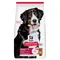 Hill's Science Plan Adult 1-5 Large Lamb & Rice Sparpack: 2 x 14 kg