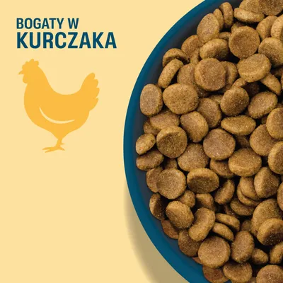 Miska z brązowymi krokietami, obok tekst: BOGATY W KURCZAKA oraz sylwetka kurczaka.