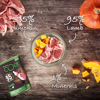 Image showing main ingredients of Wellness CORE Lamb: 95% lamb, 3.5% pumpkin, 1% minerals. Ingredients are displayed with arrows pointing to each component.
