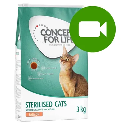Przycisk odtwarzania wideo. Kliknij tutaj, aby obejrzeć film dotyczący produktu Concept for Life Sterilised Cats Salmon 3 kg.