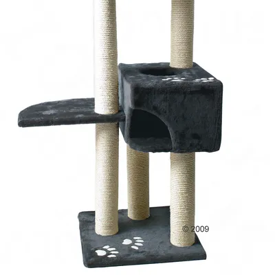 Arbre à chat avec revêtement en tissu noir, poteaux en sisal et deux niveaux. Niche intégrée avec motif de patte sur la surface.