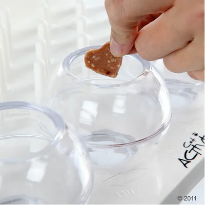 Main plaçant une friandise en forme de cœur dans un récipient transparent en plastique sur un plateau blanc, partie d’un jeu ou distributeur pour animaux. Marquage « LOCK » et logo visibles.