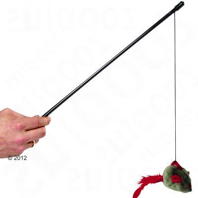 Hand hält Spielangel mit schwarzem Stab, daran hängt eine grüne Plüschmaus mit roten Federn am Band.