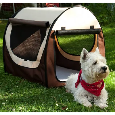 Niche pliante en tissu beige et marron avec fenêtres en maille, posée sur l’herbe. Petit chien blanc à bandana rouge assis devant la niche.