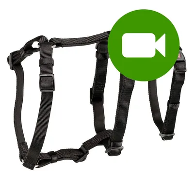 Przycisk odtwarzania wideo. Kliknij tutaj, aby obejrzeć film prezentujący czarne szelki z regulowanymi paskami i plastikowymi klamrami. Przycisk odtwarzania wideo. Kliknij tutaj, aby obejrzeć film prezentujący czarne szelki z regulowanymi paskami i plastikowymi klamrami.