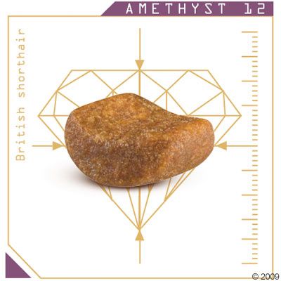 Гранула за котешка храна с надпис AMETHYST 12 и British shorthair, показана върху схема с размери.