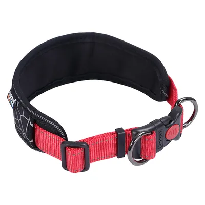 Rotes Hundehalsband mit schwarzer Polsterung, zwei Metallringen und Klickverschluss. Markenlogo sichtbar auf Verschluss und seitlichem Etikett. Rotes Hundehalsband mit schwarzer Polsterung, zwei Metallringen und Klickverschluss. Markenlogo sichtbar auf Verschluss und seitlichem Etikett.