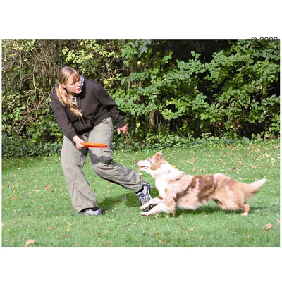 Person leker med en hund i parken och kastar en orange frisbee.