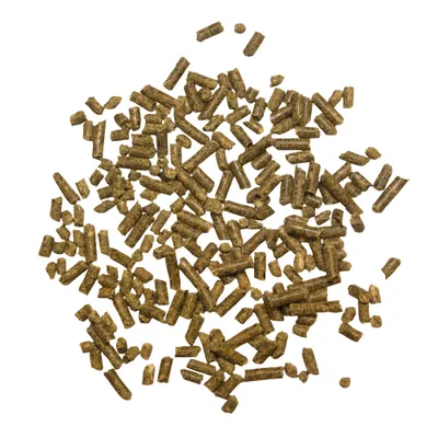 Braune Futterpellets in verschiedenen Größen auf weißem Hintergrund, lose verteilt. Zeigt die Form und Struktur des Futters. Braune Futterpellets in verschiedenen Größen auf weißem Hintergrund, lose verteilt. Zeigt die Form und Struktur des Futters.