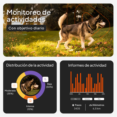 Supervisión de actividad con objetivo diario, gráfico de distribución de actividad: moderada 35%, baja 50%, intensa 15%. Informes de actividad con pasos y kilómetros.