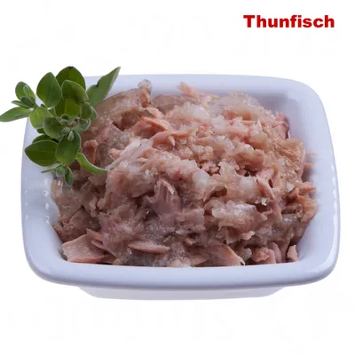 Schale mit zerkleinertem Thunfisch, dekoriert mit frischen grünen Kräutern. Text 'Thunfisch' oben rechts in roter Schrift.