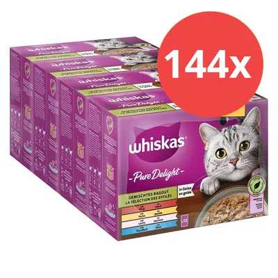 Whiskas Pure Delight ragù misto in gelatina, 144 buste con manzo, pollo, salmone e tonno. Confezione mostra un gatto e dettagli del prodotto.