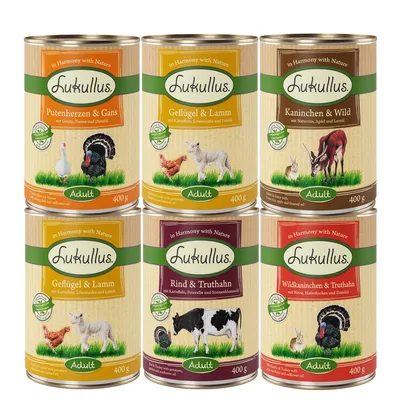 6 blikken Lukullus Adult hondenvoer: kalkoenhart & gans, gevogelte & lam, konijn & wild, rund & kalkoen, wildkonijn & kalkoen. Elk 400g met natuurlijke ingrediënten.