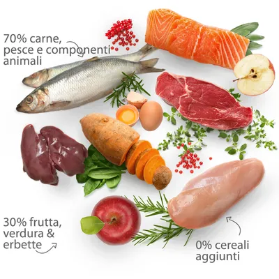 Testo visibile: 70% carne, pesce e componenti animali; 30% frutta, verdura & erbette; 0% cereali aggiunti. Immagine di ingredienti freschi come pesce, carne, uova, verdure e frutta.