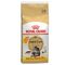 10 + 2 kg gratis! 12 kg Royal Canin Feline hrană uscată Maine Coon Adult