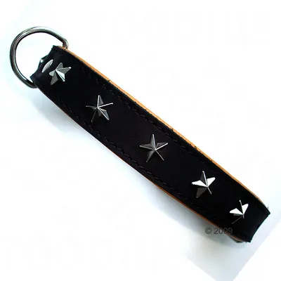 Black leather collar with metal star-shaped studs and a metal ring for attaching a lead, shown close up to display details.