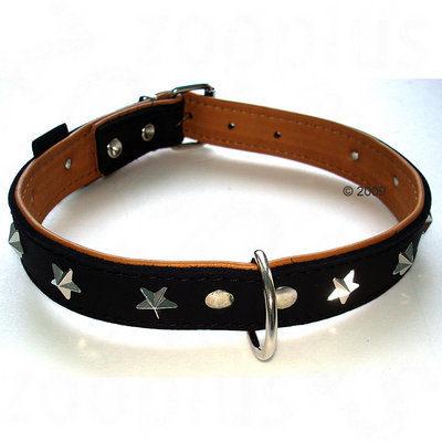 Black leather collar with silver star-shaped studs, metal buckle, and D-ring for attaching a lead. Multiple holes for size adjustment are visible. Black leather collar with silver star-shaped studs, metal buckle, and D-ring for attaching a lead. Multiple holes for size adjustment are visible.