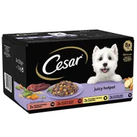 Cesar Juicy Hotpot Mixed Selection - 24 x 150g
