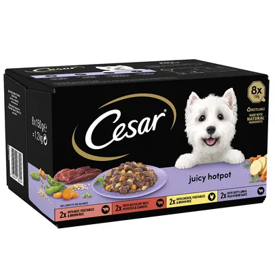 Cesar Juicy Hotpot Mixpakket Hondenvoer - 24 x 150 g Cesar Juicy Hotpot Mixpakket Hondenvoer - 24 x 150 g