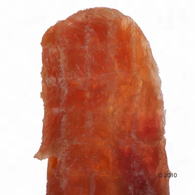 Nahaufnahme eines getrockneten Fleischstücks in orange-brauner Farbe, vermutlich ein Hundesnack.