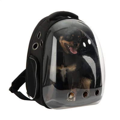 Sac à dos de transport noir avec coque transparente rigide, trois aérations rondes en bas et un petit chien visible à l’intérieur. Poignée sur le dessus, poche latérale en tissu filet.