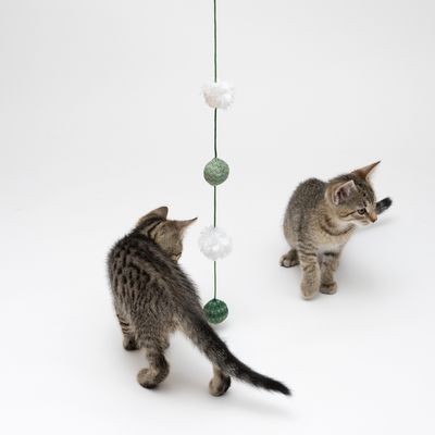 Dve mačiatka pri visiacej hračke so zelenými a bielymi guľôčkami na šnúrke, vhodné na hranie pre mačky. Viditeľný materiál: textil.