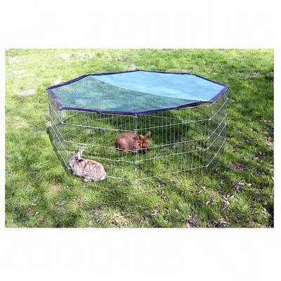 Enclos octogonal en métal avec filet de protection bleu sur la moitié supérieure, deux lapins à l’intérieur, posé sur de l’herbe en extérieur.