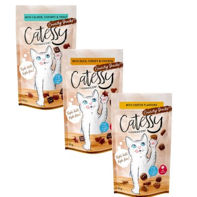 Probiermix Catessy Knuspersnacks 3 x 65 g mit 3 Sorten (Duck, Turkey & Chicken, Salmon, Shrimps & Trout, Cheese Flavours)