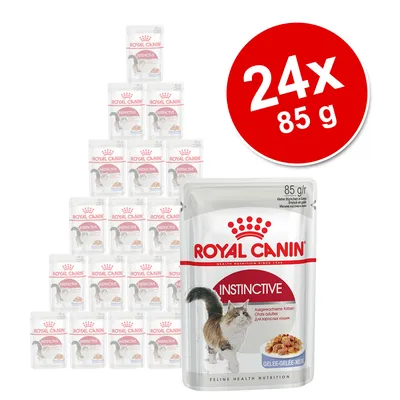 Royal Canin Instinctive, 24 x 85 g, saszetki z karmą dla kotów. Widoczny napis: 24x 85 g. Opakowanie przedstawia kota i porcję karmy w galaretce.