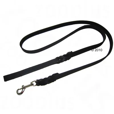 Black leather dog lead with braided design and metal carabiner hook.