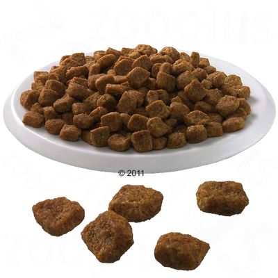 Purina ONE Adult - Laks & Fullkorn