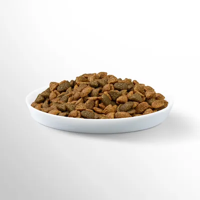 Miska s hnědými a zelenohnědými granulemi krmiva, detailní pohled na tvar a barvu granulí.