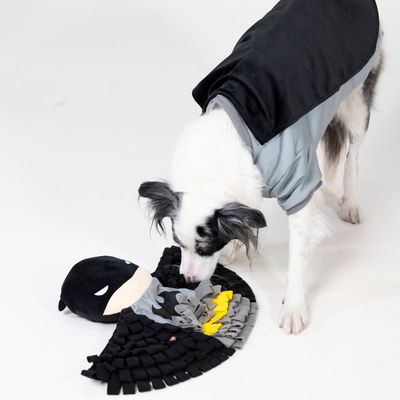 Hund in grauem und schwarzem Umhang spielt mit Batman-förmigem Schnüffelteppich aus Stoffstreifen.