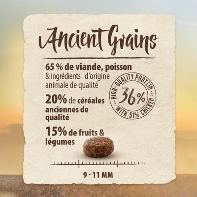 Ancient Grains : 65 % de viande, poisson et ingrédients d'origine animale, 20 % de céréales anciennes, 15 % de fruits et légumes, 36 % protéines, croquette 9–11 mm. Texte anglais partiel.