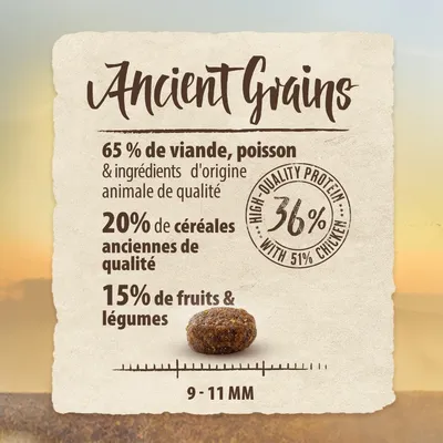 Ancient Grains : 65 % de viande, poisson et ingrédients d'origine animale, 20 % de céréales anciennes, 15 % de fruits et légumes, 36 % protéines, croquette 9–11 mm. Texte anglais partiel.