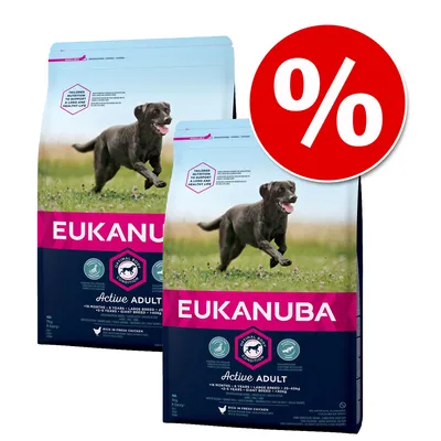 Două saci de hrană pentru câini Eukanuba Active Adult, imagine cu câine alergând pe ambalaj și simbol procent roșu pentru promoție. Text vizibil: 'Active Adult', 'Optimal Body Condition'.