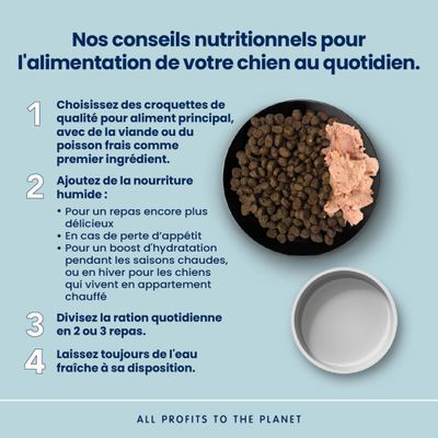Almo Nature Adult Large, saumon & riz