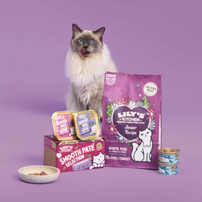 Kat naast Lily's Kitchen kattenvoer: Senior Recipe White Fish zak, Smooth Paté Selection doos en kuipjes, twee blikjes natvoer, schaaltje voer zichtbaar.