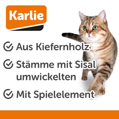 Kratzsäule aus Holz mit Sisal umwickelt, runde Basis und integrierter Spielball in einem Holzkäfig.