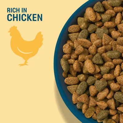 Bowl with brown and green kibbles, text: Rich in Chicken, yellow chicken silhouette. Bowl with brown and green kibbles, text: Rich in Chicken, yellow chicken silhouette.