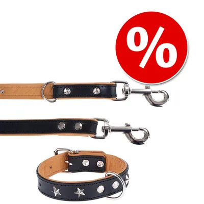 Hondenhalsband en -riem van zwart en bruin leer met metalen sterren en studs, zilverkleurige sluitingen. Rood kortingssymbool met wit procentteken zichtbaar.