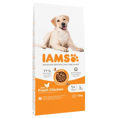 Confezione IAMS con cane, testo: 77% Animal Protein, 100% Complete & Balanced Nutrition, DentalCare System, with Fresh Chicken, 1+ Years, L >25kg, 12kg. Testo in inglese.