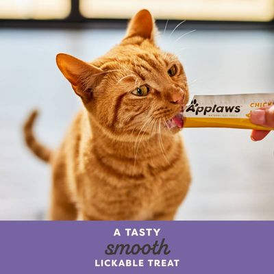 Applaws Creamy Treat 8 x 15 g