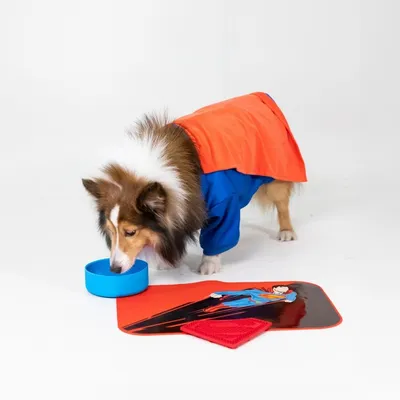 Hund in blau-rotem Superhelden-Kostüm trinkt aus einer blauen Schüssel, daneben eine rote Matte mit Superhelden-Motiv und ein rotes Spielzeug.