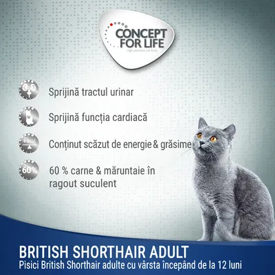 Concept for Life British Shorthair Adult. Sprijină tractul urinar, funcția cardiacă, conținut scăzut de energie și grăsime, 60% carne și măruntaie în ragout suculent. Pentru pisici adulte 12+ luni.