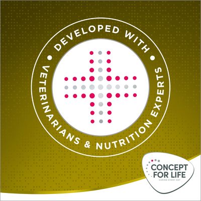 Concept for Life Mini Adult, hrană pentru câini de peste 10 luni, greutate până la 10 kg, pachet de 4 kg. Formulă specială cu îngrijire dentară, menținere ideală a greutății și acceptare ridicată.