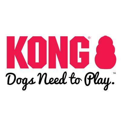 KONG Dogs Need to Play. Tekst w języku angielskim.